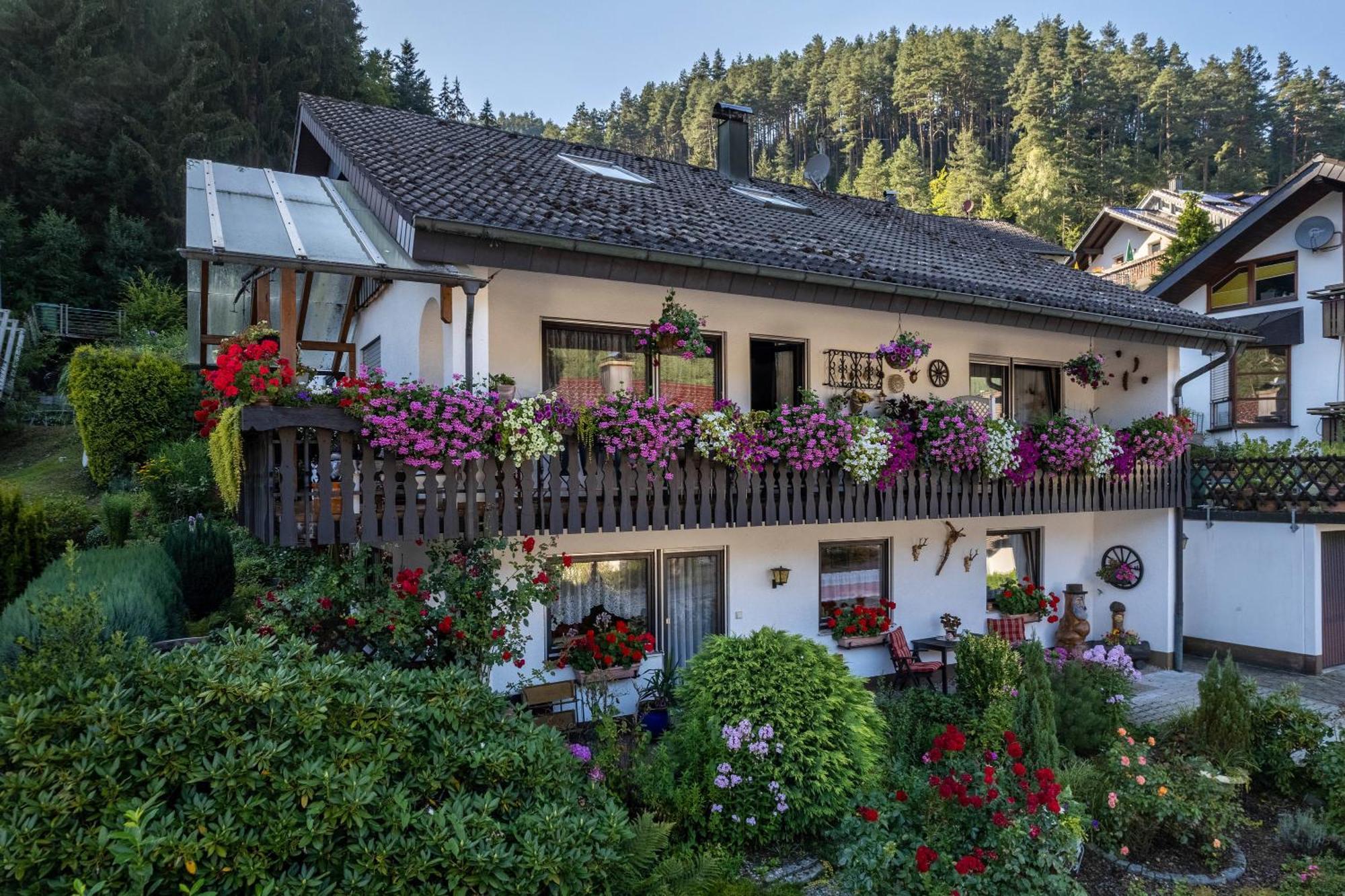 Ferienwohnung Schwarzwaelder Hornberg Kültér fotó